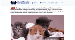 Desktop Screenshot of chatsmontreal.com